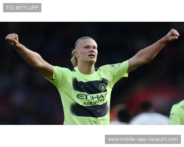 哈兰德支点效果稳定